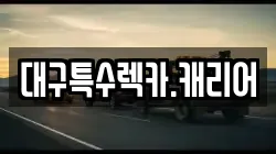 대구특수렉카.캐리어