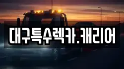 대구특수렉카.캐리어