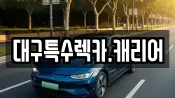 대구특수렉카.캐리어