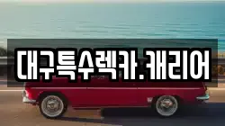 대구특수렉카.캐리어
