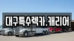 대구특수렉카.캐리어