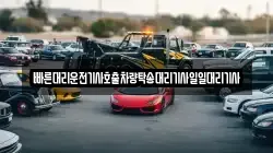 빠른대리운전기사호출차량탁송대리기사일일대리기사