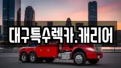 대구특수렉카.캐리어