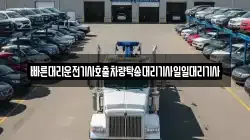 빠른대리운전기사호출차량탁송대리기사일일대리기사