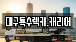 대구특수렉카.캐리어