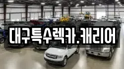 대구특수렉카.캐리어