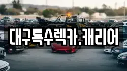 대구특수렉카.캐리어