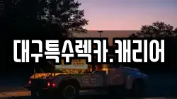 대구특수렉카.캐리어