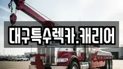대구특수렉카.캐리어