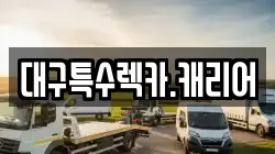 대구특수렉카.캐리어