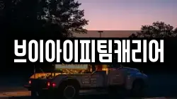 브이아이피팀캐리어