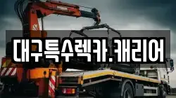 대구특수렉카.캐리어