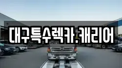 대구특수렉카.캐리어