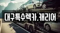 대구특수렉카.캐리어