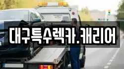 대구특수렉카.캐리어