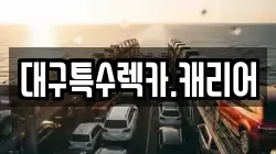 대구특수렉카.캐리어