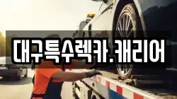 대구특수렉카.캐리어