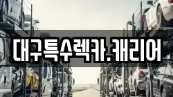 대구특수렉카.캐리어