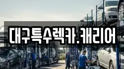 대구특수렉카.캐리어