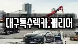 대구특수렉카.캐리어