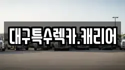 대구특수렉카.캐리어
