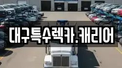 대구특수렉카.캐리어