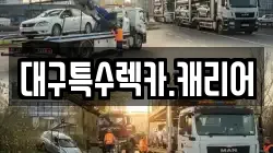 대구특수렉카.캐리어