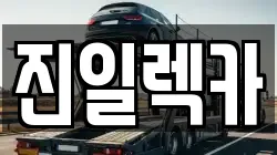 진일렉카