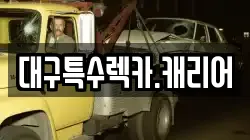 대구특수렉카.캐리어