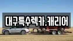 대구특수렉카.캐리어