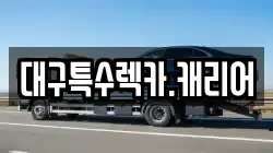 대구특수렉카.캐리어