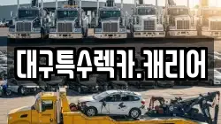 대구특수렉카.캐리어