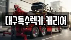대구특수렉카.캐리어