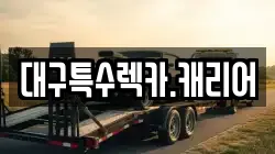 대구특수렉카.캐리어