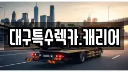대구특수렉카.캐리어