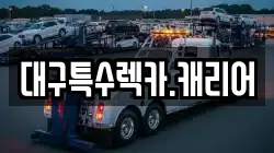 대구특수렉카.캐리어