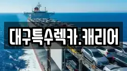 대구특수렉카.캐리어