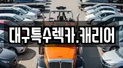 대구특수렉카.캐리어