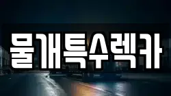대구 수성구 수성동1가 렉카, 특수렉카, 차량탁송, 견인운송