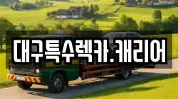 대구특수렉카.캐리어