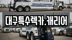 대구특수렉카.캐리어