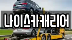나이스카캐리어