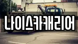 나이스카캐리어