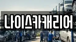 나이스카캐리어