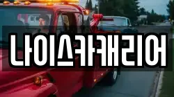 나이스카캐리어