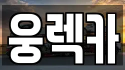 대전광역시 대덕구 석봉동 렉카, 특수렉카, 차량탁송, 견인운송