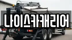 나이스카캐리어