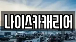 나이스카캐리어