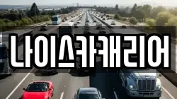 나이스카캐리어