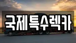 국제특수렉카